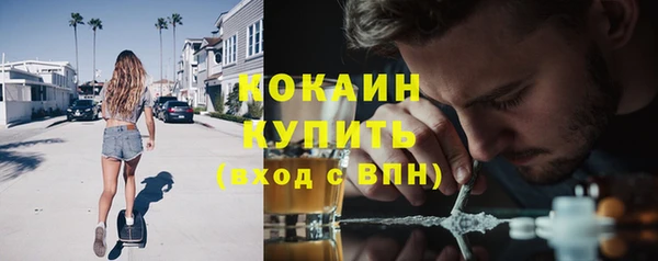 ешки Инсар