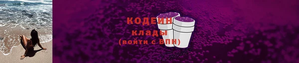 2c-b Инта