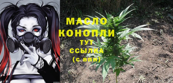 ешки Инсар