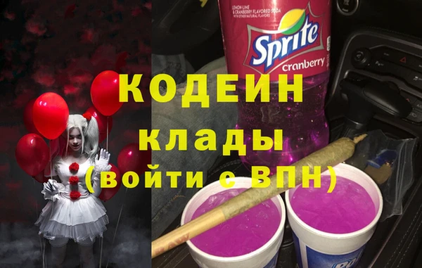 2c-b Инта