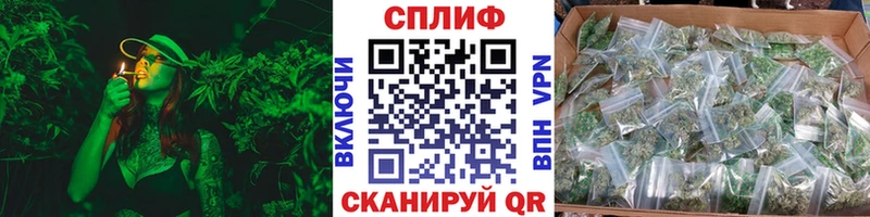 darknet телеграм  МЕГА как войти  Миньяр  Конопля ГИДРОПОН 